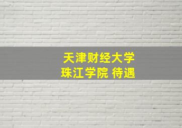 天津财经大学珠江学院 待遇